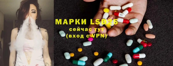 PSILOCYBIN Абдулино