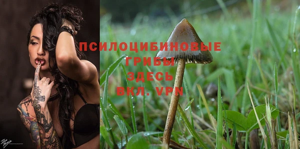PSILOCYBIN Абдулино