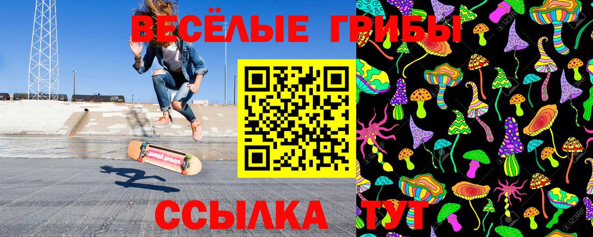 Галлюциногенные грибы MAGIC MUSHROOMS  Вход с VPN  Ирбит  Галлюциногенные грибы MAGIC MUSHROOMS 