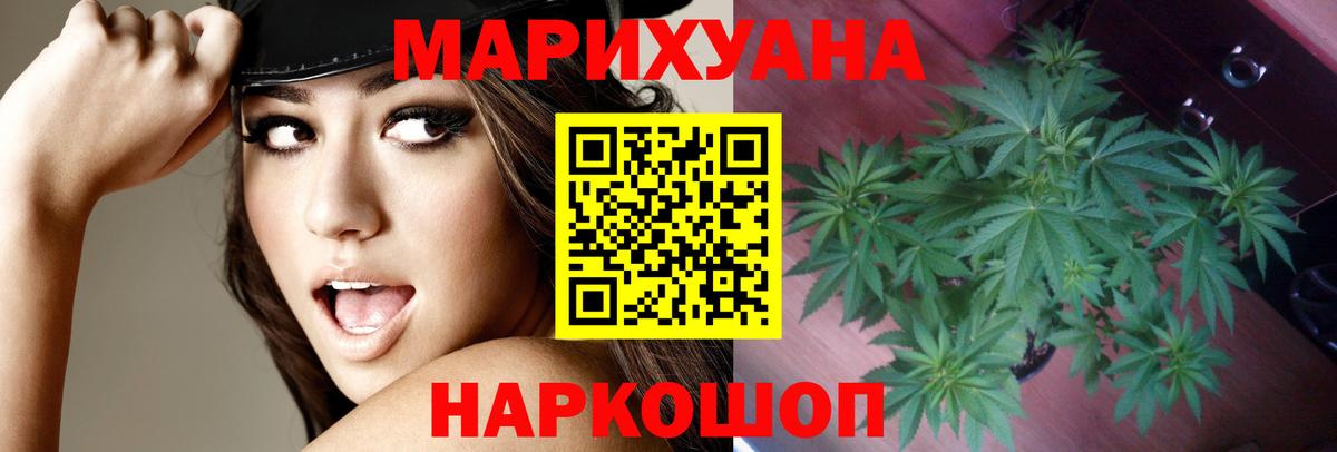Конопля сатива  Вход с VPN  Каннабис Amnesia  Ирбит 